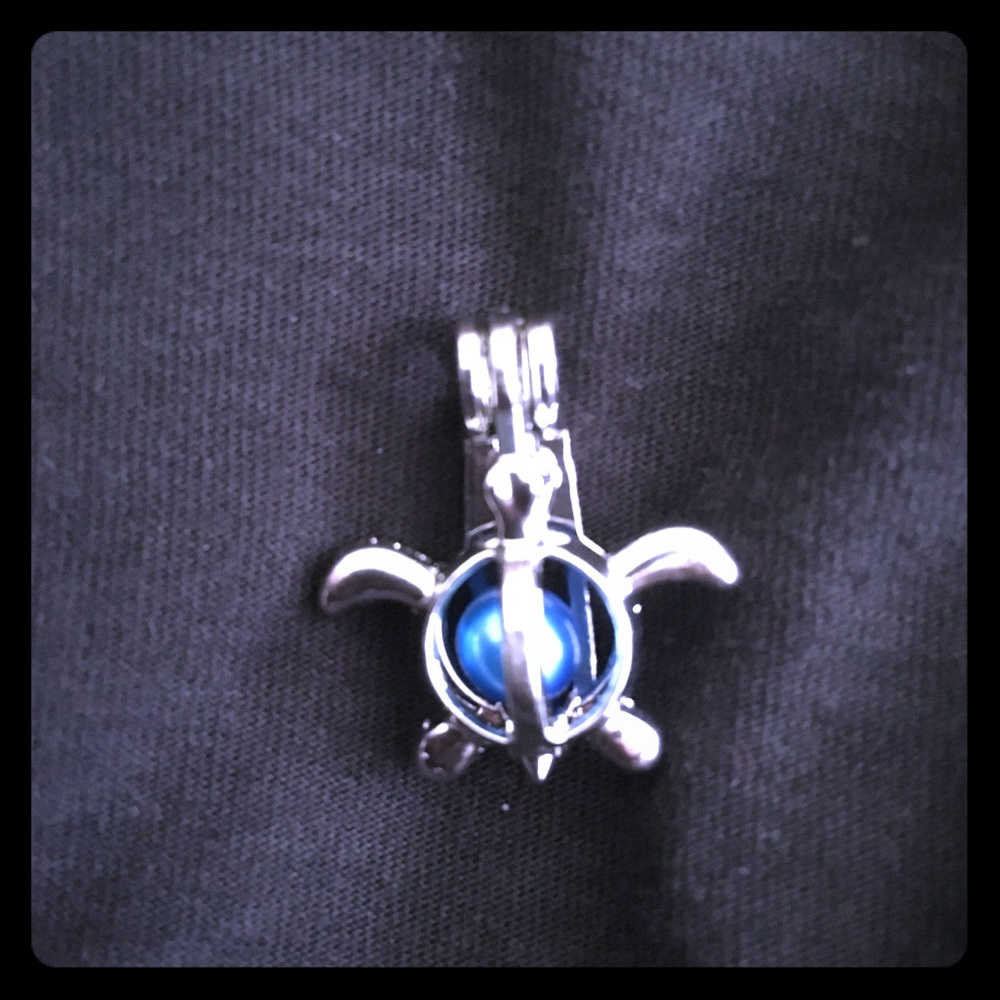 Turtle charm